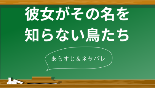 『彼女がその名を知らない鳥たち』完全解説！衝撃の結末と7つの伏線を徹底分析